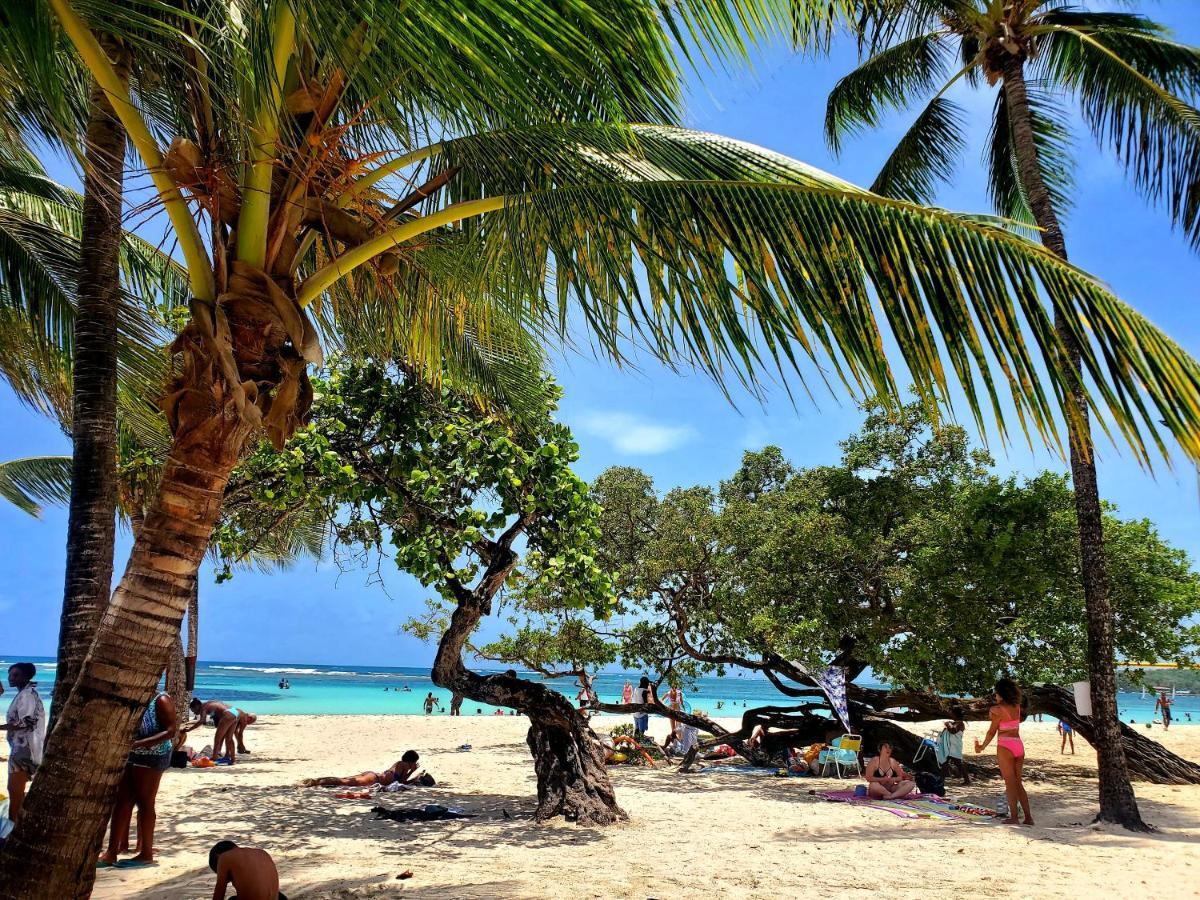 Villa L'Anjou Creole A Sainte Anne En Guadeloupe Avec Piscine Privee Et 2 Chambres Pour 4 Personnes Exterior photo